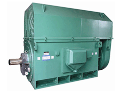 YR3551-4Y系列6KV高压电机